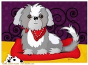 Lone Star Shih Tzu and Lhasa Apso Rescue of Texas